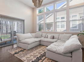 Carpet Cleaning